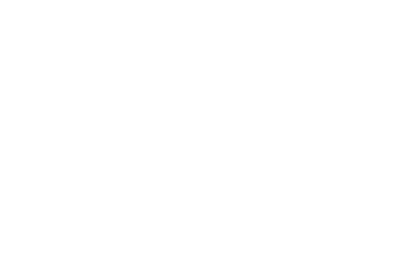 The Cava Experience